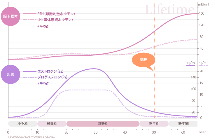 男性の正常なエストロゲンレベルはどれくらいですか?